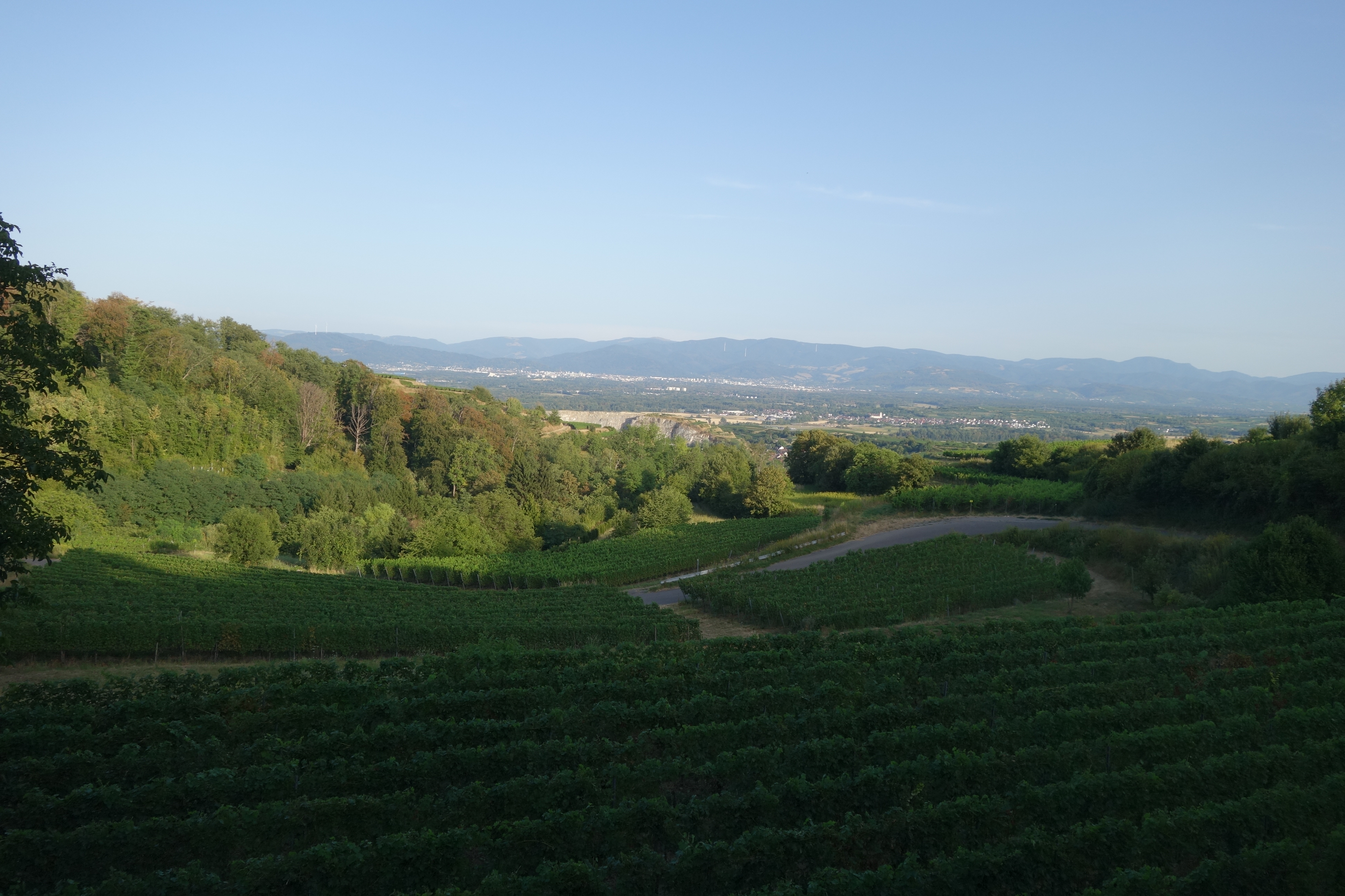 Blick vom Kaiserstuhl in Richtung Freiburg